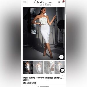 NWT mew mews dress